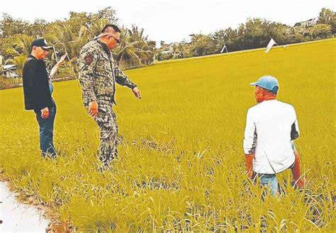 estancia massacre|Murder charges against suspects in killing of three businessmen .